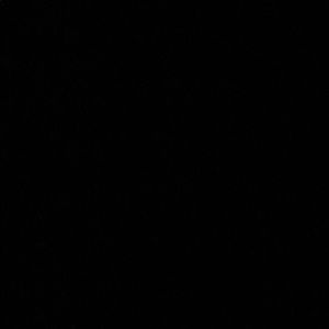 Meet your Posher, Shane